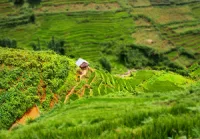 Community Based Initiative to Eradicate Malnutrition and Poverty
