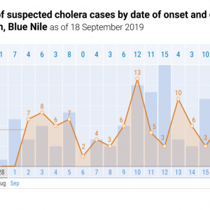 Cholera Outbreak Treatment & Prevention