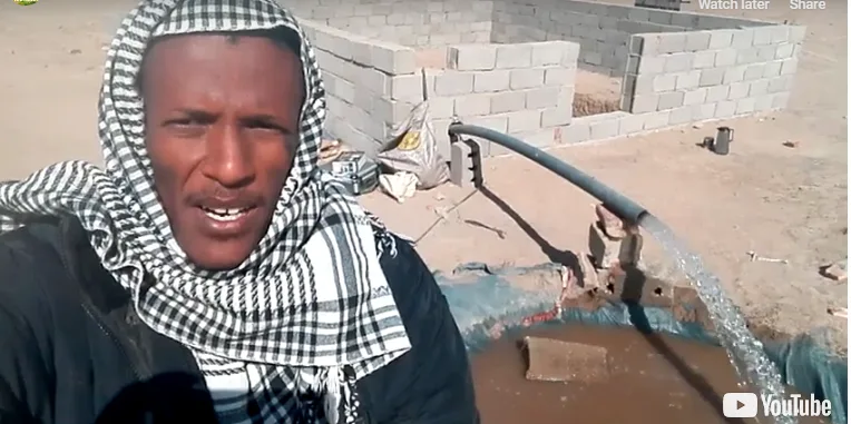 Harlem Solar - Al-Dafoufa 2