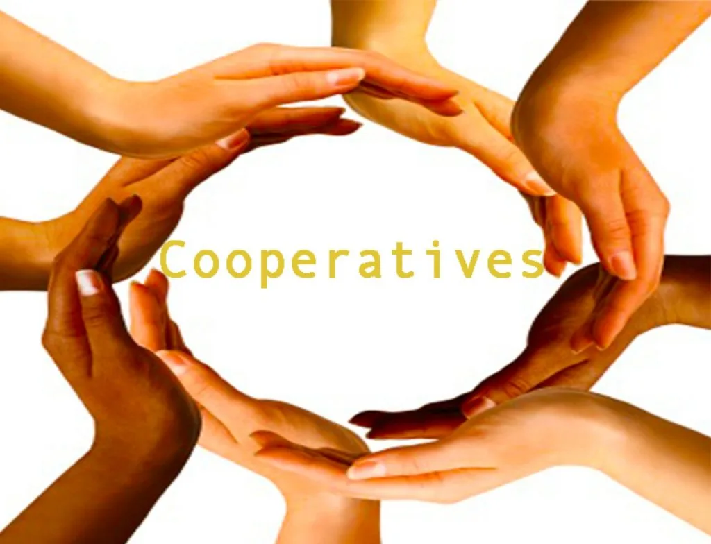 Cooperative Associations