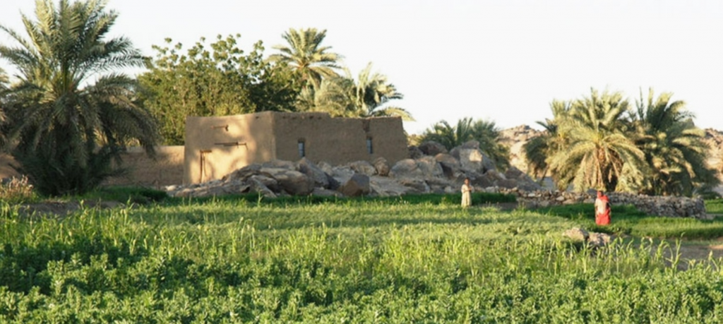 Gadarif Farmers’ Forum