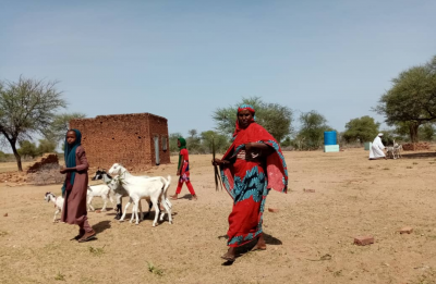 Darfur Women Entrepreneurs for Production of Organic Food