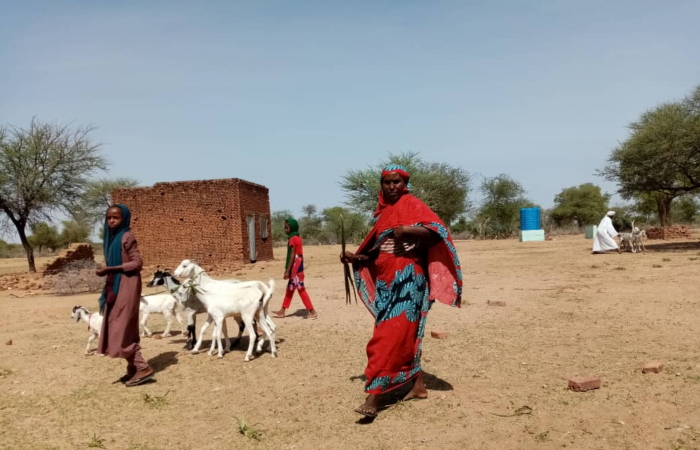  Darfur Women Entrepreneurs for Production of Organic Food