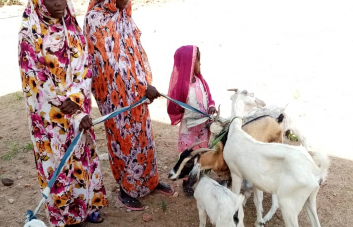  Darfur Women Entrepreneurs for Production of Organic Food