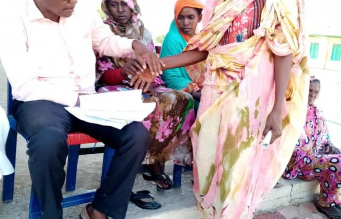  Darfur Women Entrepreneurs for Production of Organic Food