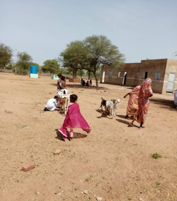 Darfur Women Entrepreneurs for Production of Organic Food