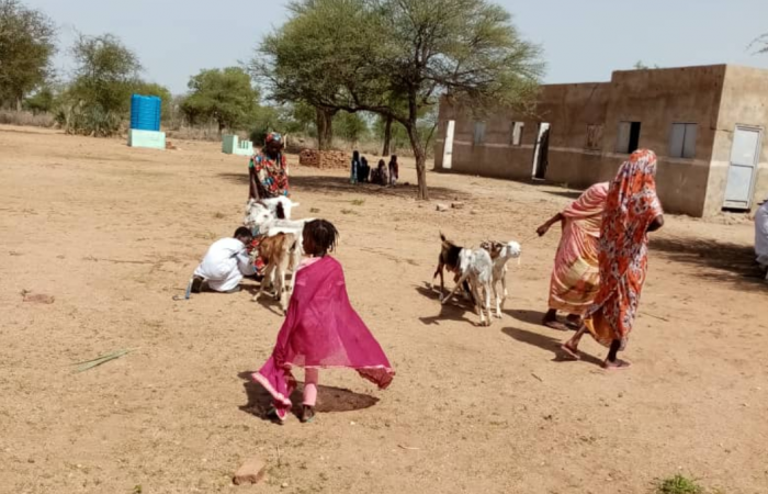  Darfur Women Entrepreneurs for Production of Organic Food