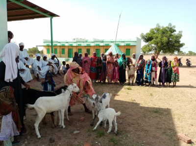 Darfur Women Entrepreneurs for Production of Organic Food