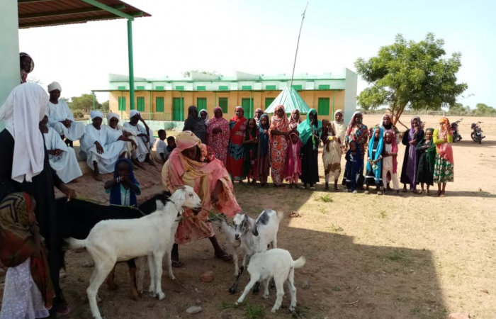  Darfur Women Entrepreneurs for Production of Organic Food