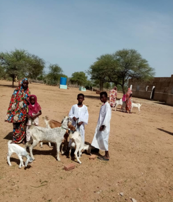 Darfur Women Entrepreneurs for Production of Organic Food