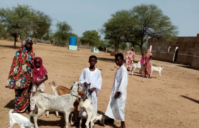  Darfur Women Entrepreneurs for Production of Organic Food