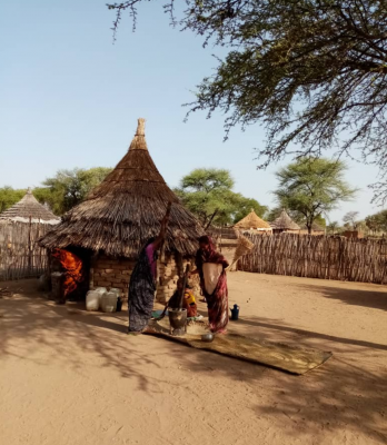 Darfur Women Entrepreneurs for Production of Organic Food