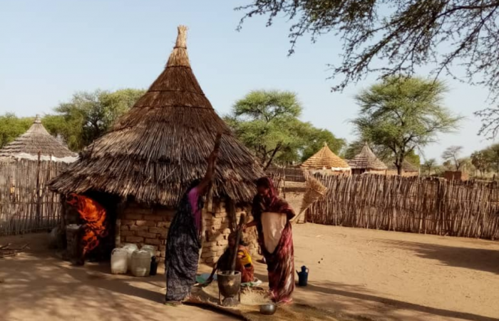  Darfur Women Entrepreneurs for Production of Organic Food