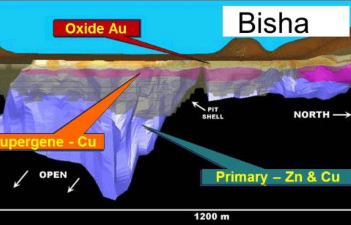  Ariab Mining Project