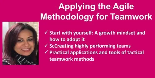Applying the Agile Methodology to Teamwork