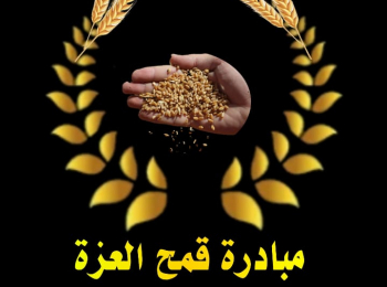 Support Sudanese Farmers مبادرة شراءالقمح من المزارعين