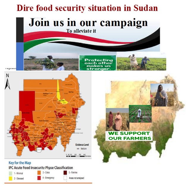 Sudan’s Food Security Crisis