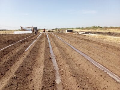 Introducing Rigid Gated Pipe Irrigation Method to Sudan a Pilot Project in the Gezira Scheme