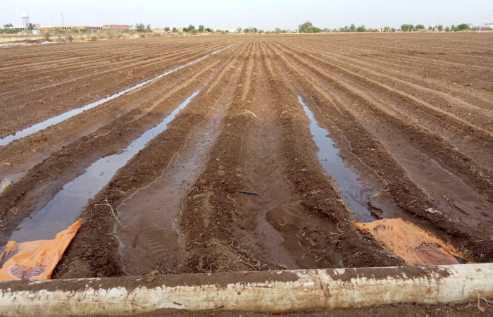  Introducing Rigid Gated Pipe Irrigation Method to Sudan a Pilot Project in the Gezira Scheme