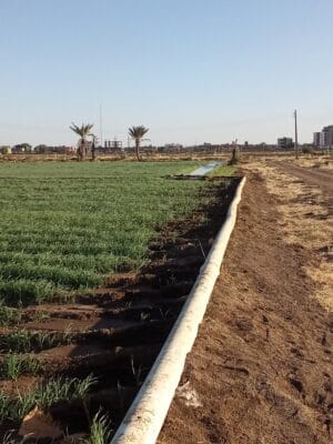 Introducing Rigid Gated Pipe Irrigation Method to Sudan a Pilot Project in the Gezira Scheme