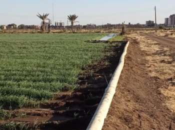 Introducing Rigid Gated Pipe Irrigation Method to Sudan a Pilot Project in the Gezira Scheme