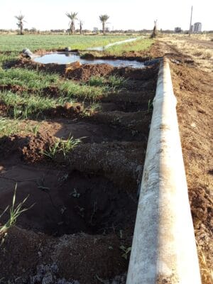 Introducing Rigid Gated Pipe Irrigation Method to Sudan a Pilot Project in the Gezira Scheme