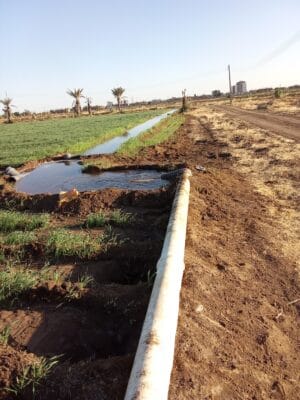 Introducing Rigid Gated Pipe Irrigation Method to Sudan a Pilot Project in the Gezira Scheme