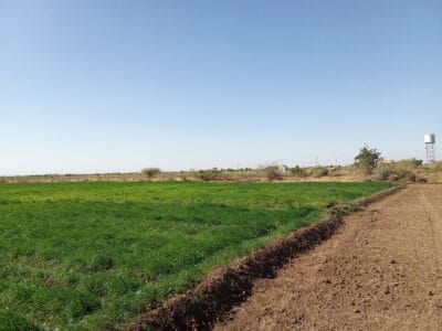 Introducing Rigid Gated Pipe Irrigation Method to Sudan a Pilot Project in the Gezira Scheme
