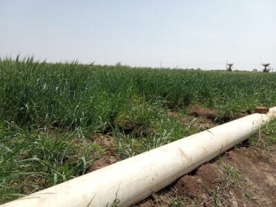 Introducing Rigid Gated Pipe Irrigation Method to Sudan a Pilot Project in the Gezira Scheme
