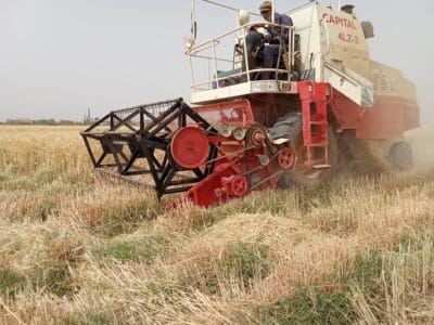 Introducing Rigid Gated Pipe Irrigation Method to Sudan a Pilot Project in the Gezira Scheme