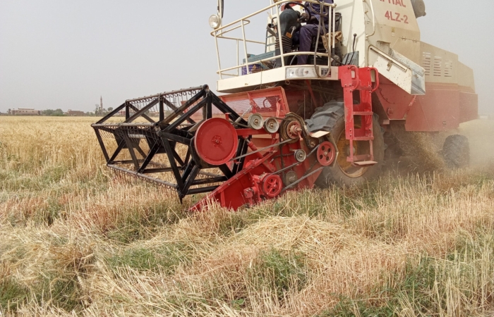  Introducing Rigid Gated Pipe Irrigation Method to Sudan a Pilot Project in the Gezira Scheme