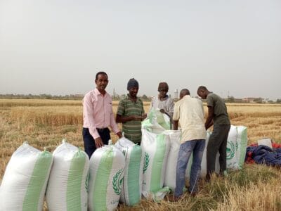 Introducing Rigid Gated Pipe Surface Irrigation Method to Sudan: A collboration between Sudan NextGen, Faculty of Agric. Sci. &ndash; University of Gezira, Agric. Res. Corporation and Gezira Scheme.