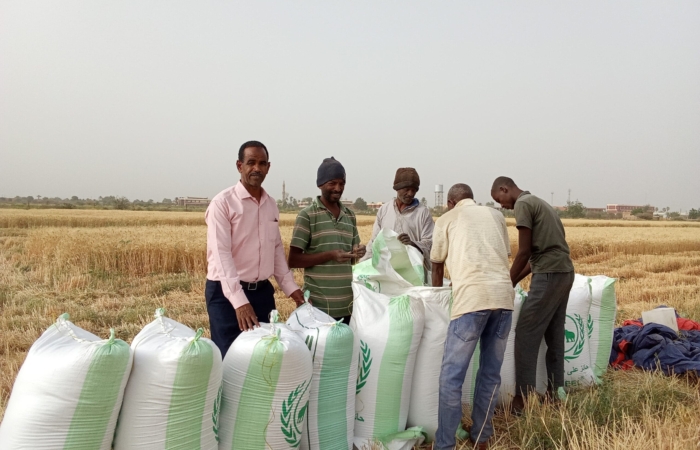  Introducing Rigid Gated Pipe Surface Irrigation Method to Sudan: A collboration between Sudan NextGen, Faculty of Agric. Sci. &ndash; University of Gezira, Agric. Res. Corporation and Gezira Scheme.