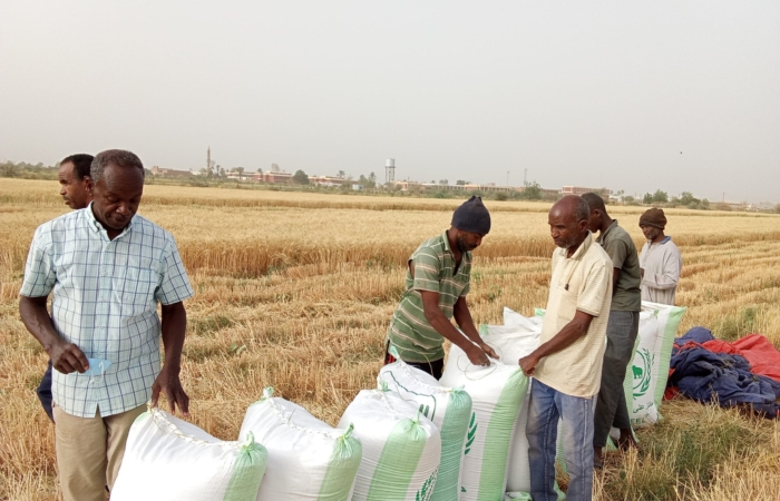  Introducing Rigid Gated Pipe Surface Irrigation Method to Sudan: A collboration between Sudan NextGen, Faculty of Agric. Sci. &ndash; University of Gezira, Agric. Res. Corporation and Gezira Scheme.