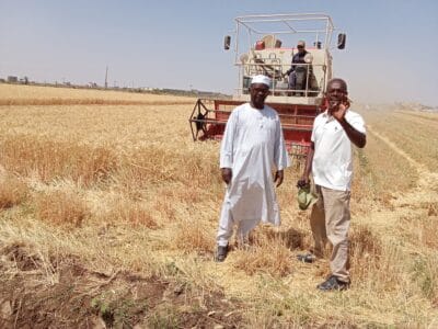 Introducing Rigid Gated Pipe Irrigation Method to Sudan a Pilot Project in the Gezira Scheme
