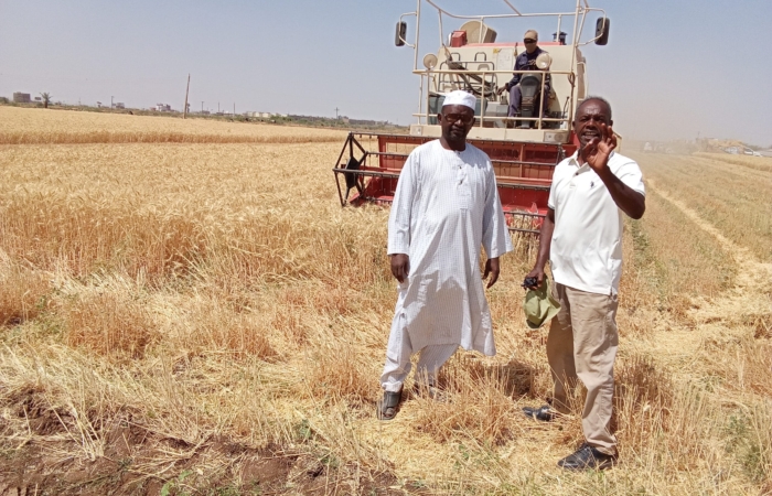  Introducing Rigid Gated Pipe Irrigation Method to Sudan a Pilot Project in the Gezira Scheme