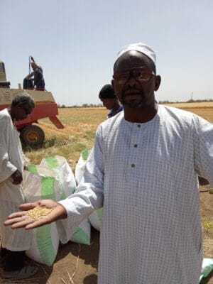 Introducing Rigid Gated Pipe Irrigation Method to Sudan a Pilot Project in the Gezira Scheme