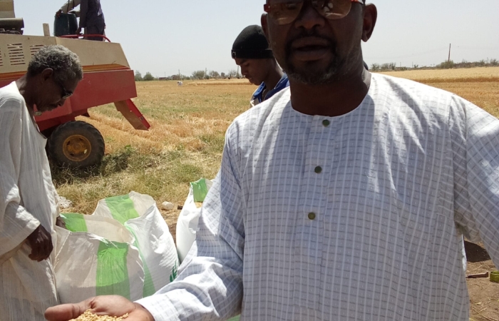  Introducing Rigid Gated Pipe Irrigation Method to Sudan a Pilot Project in the Gezira Scheme