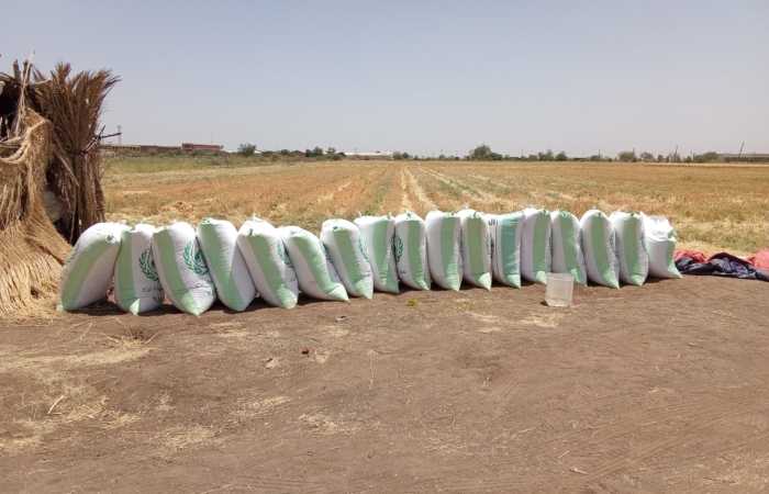  Introducing Rigid Gated Pipe Surface Irrigation Method to Sudan: A collboration between Sudan NextGen, Faculty of Agric. Sci. &ndash; University of Gezira, Agric. Res. Corporation and Gezira Scheme.