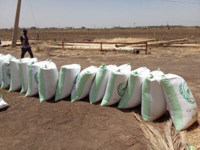 Introducing Rigid Gated Pipe Irrigation Method to Sudan a Pilot Project in the Gezira Scheme