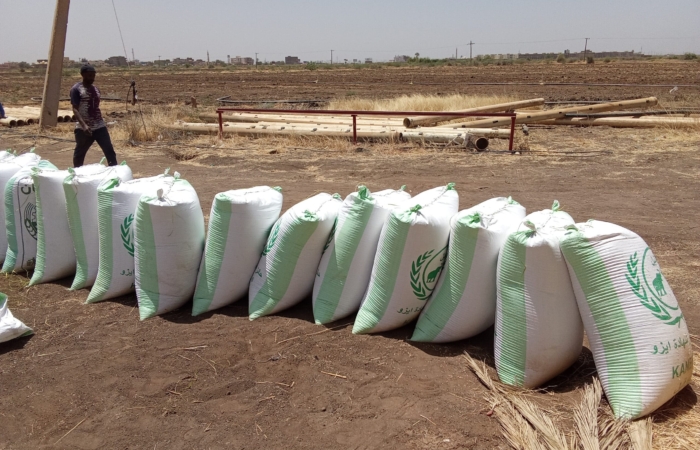  Introducing Rigid Gated Pipe Irrigation Method to Sudan a Pilot Project in the Gezira Scheme