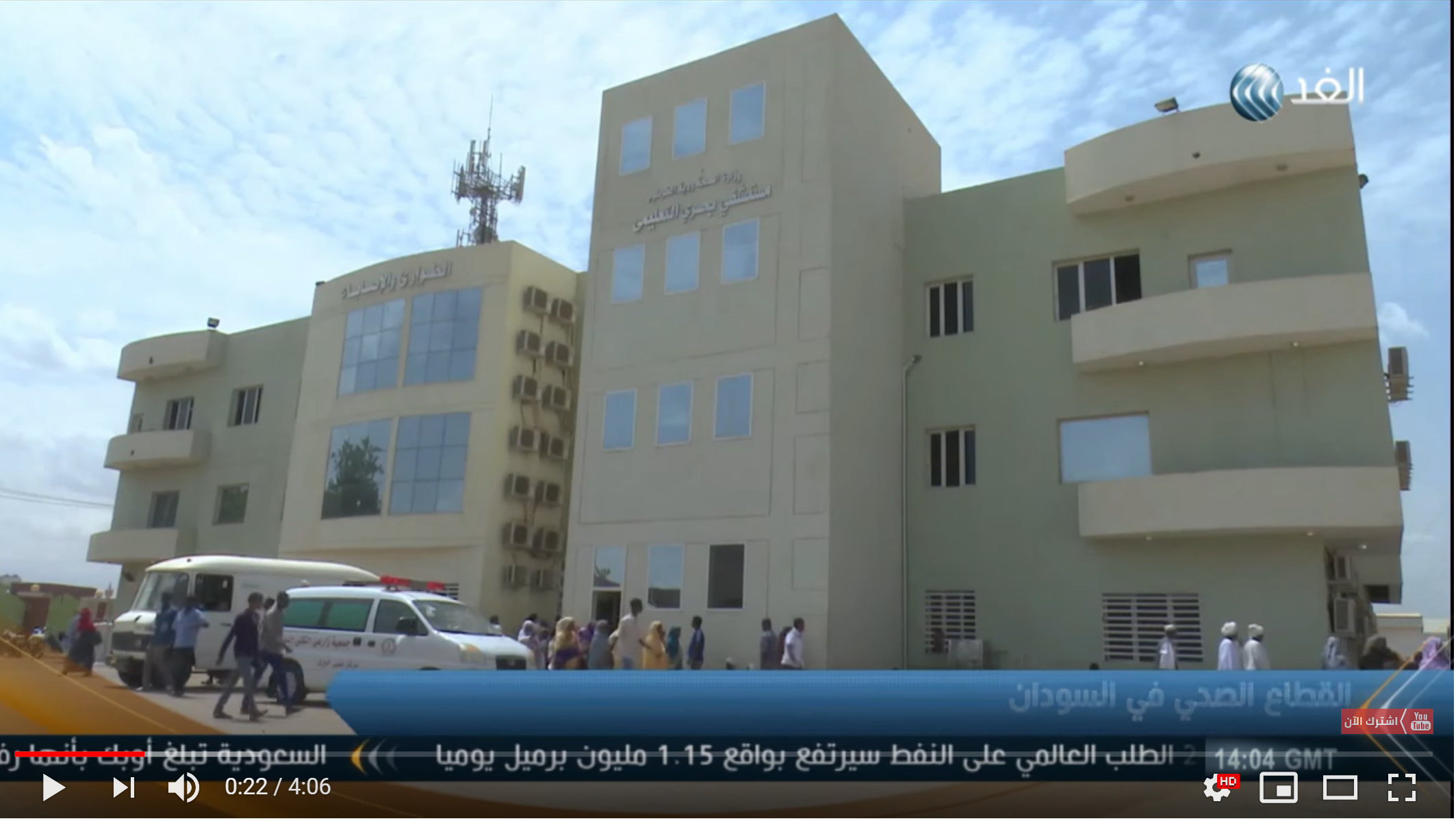 Major health sector problems in Sudan
